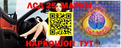 молекула духа Тверь