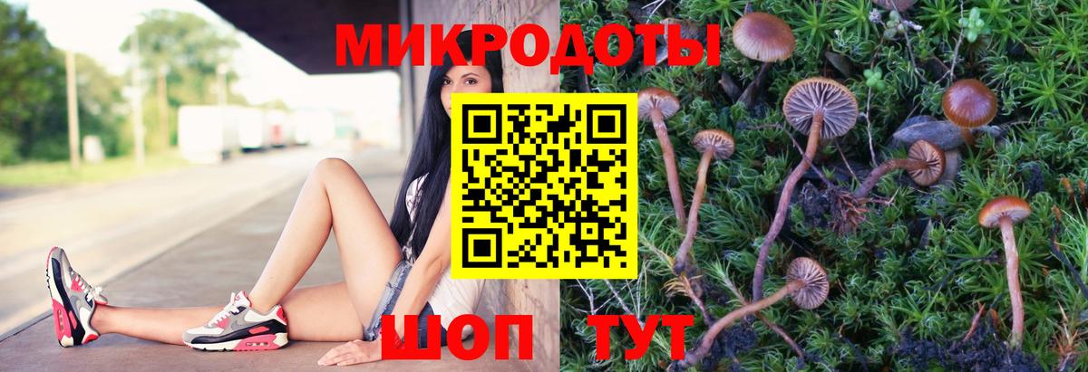 где найти наркотики  Вход с VPN  Нефтеюганск  Галлюциногенные грибы Cubensis  Псилоцибиновые грибы ЛСД 